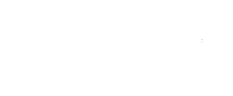 Klarna Logo White